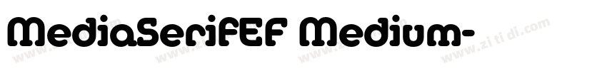 MediaSerifEF Medium字体转换